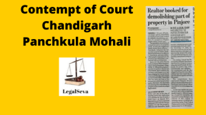Contempt of Court Chandigarh Panchkula Mohali 