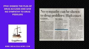 Bail in Drug Case Punjab Haryana High Court